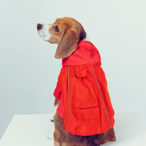 Dog Ripstop Raincoat with hood NWOT- size Small - Picture 2 of 8